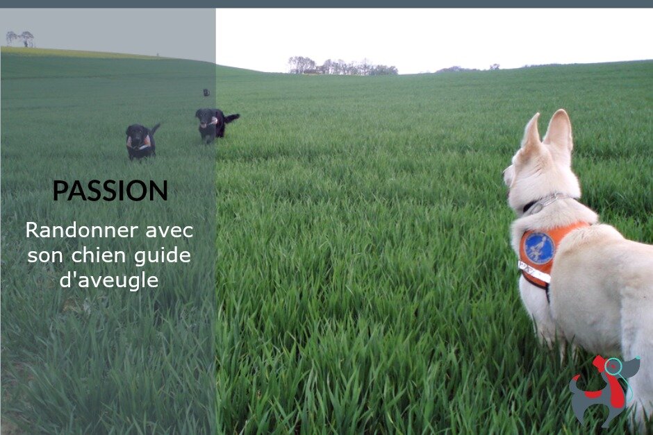 A la une - PARTAGER dog &lifestyle le magazine vitaminé des amateurs de chiens