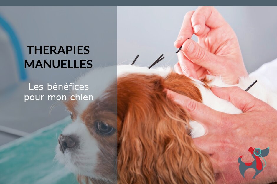 A la une - COMPRENDRE